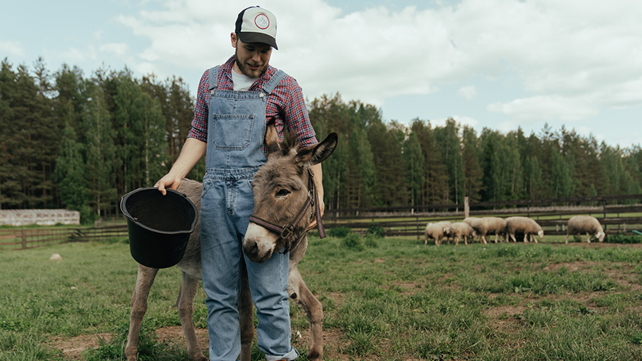 Les blagues liées au mot-clé: Agriculteur